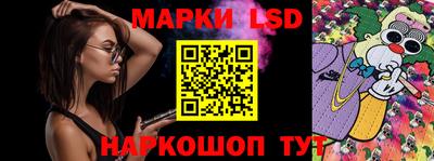 эйфоретик Аргун