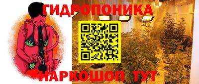 стаф Коммунар